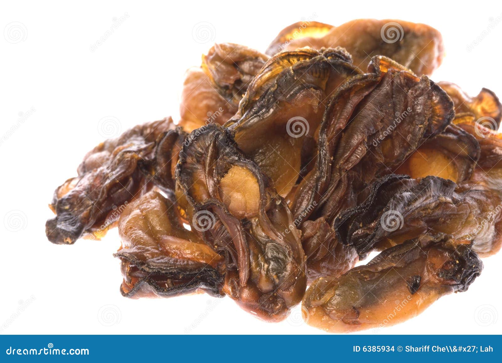 Dried Oysters stock photo. Image of cuisine, dried, ocean 6385934