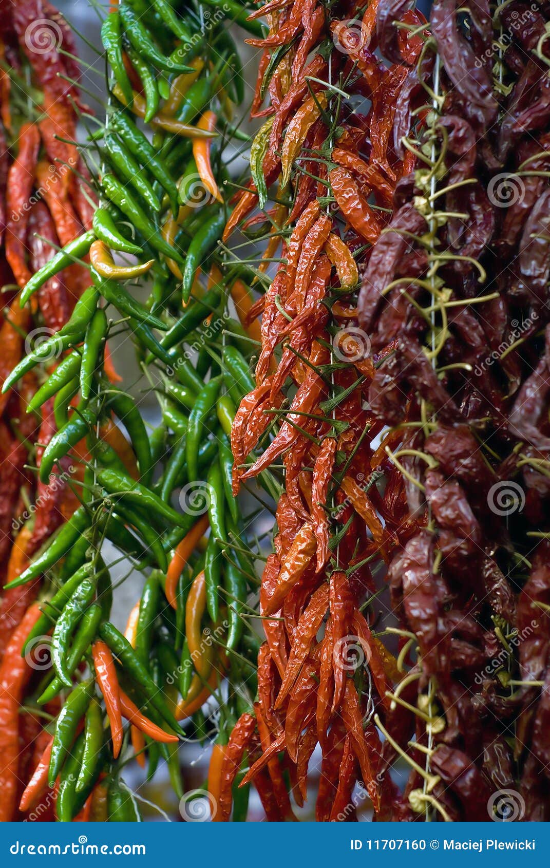 Dried paprika stock photo. Image of spice, background 11707160