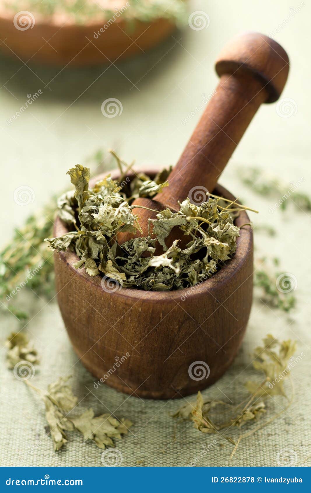 Dried parsley stock photo. Image of dried, food, background 26822878