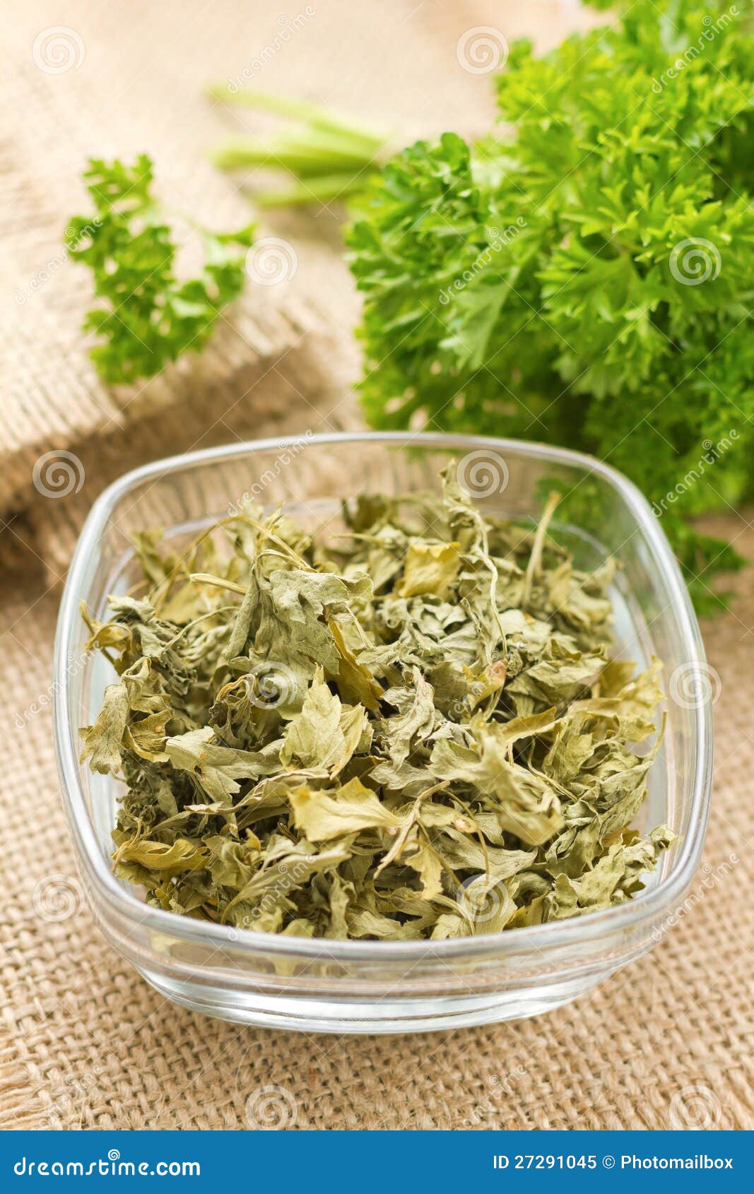 Dried parsley stock image. Image of fresh, leaf, healthy 27291045