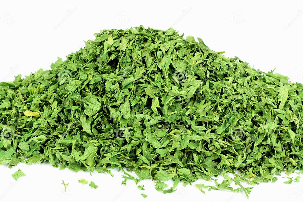 Dried Parsley Flakes. stock photo. Image of cooking, floral 4546836