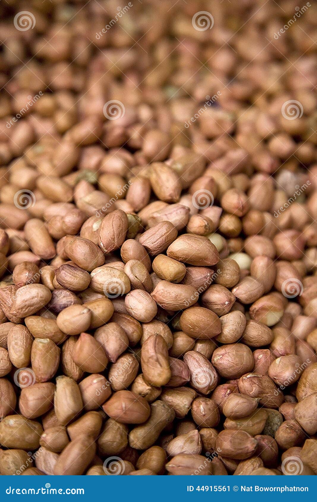 Dried peanuts on sell stock image. Image of dried, seed 44915561