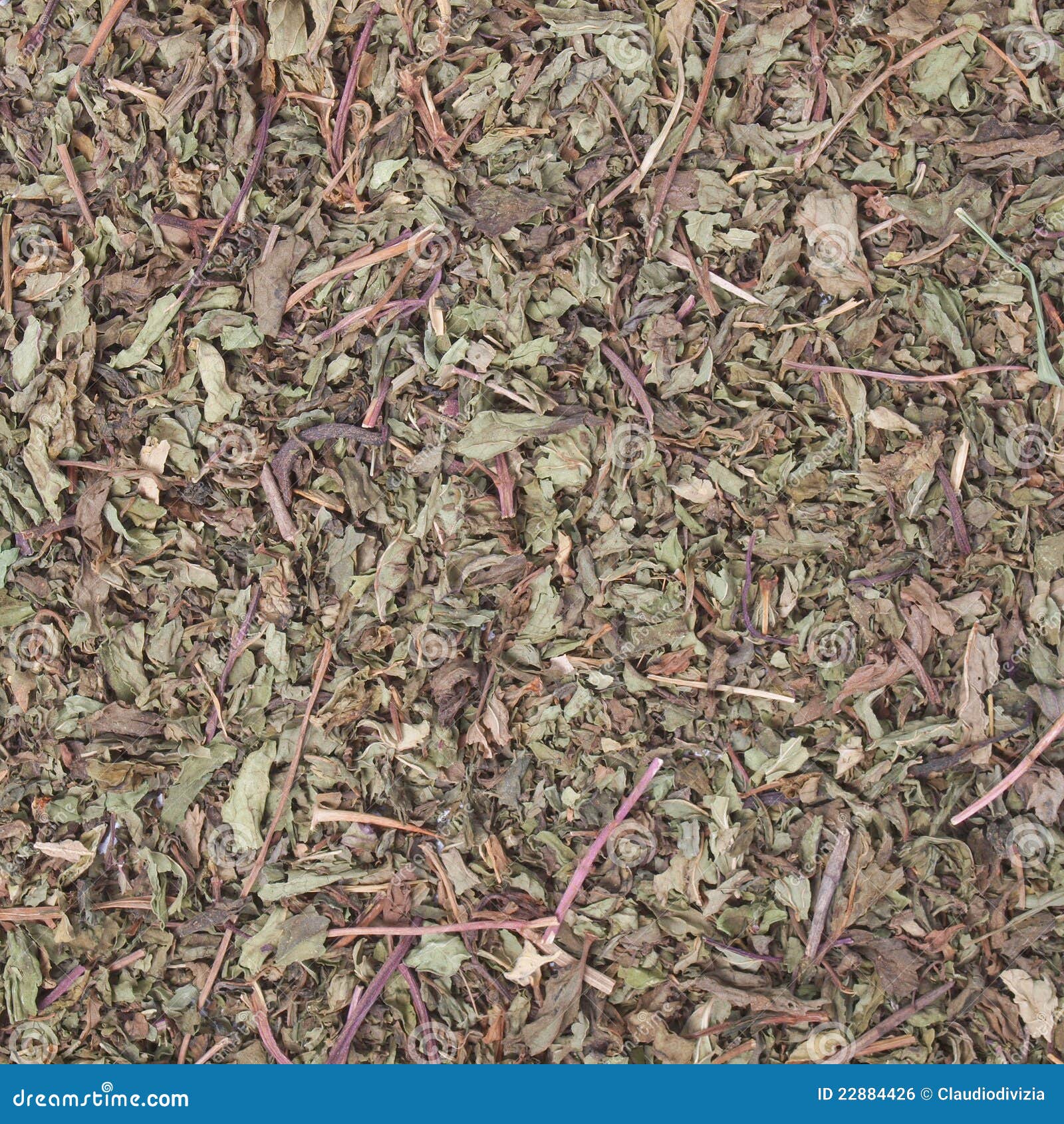 Dried peppermint stock photo. Image of food, detail, macro 22884426