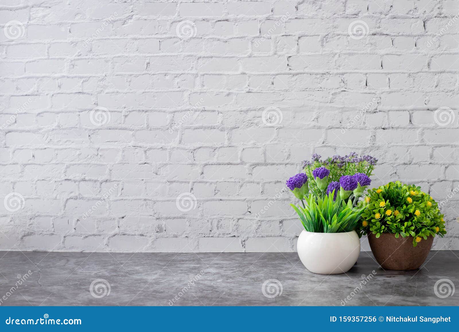 Dried Plant Pot On White Brick Wall Texture Background Stock Photo Image Of Room Plant