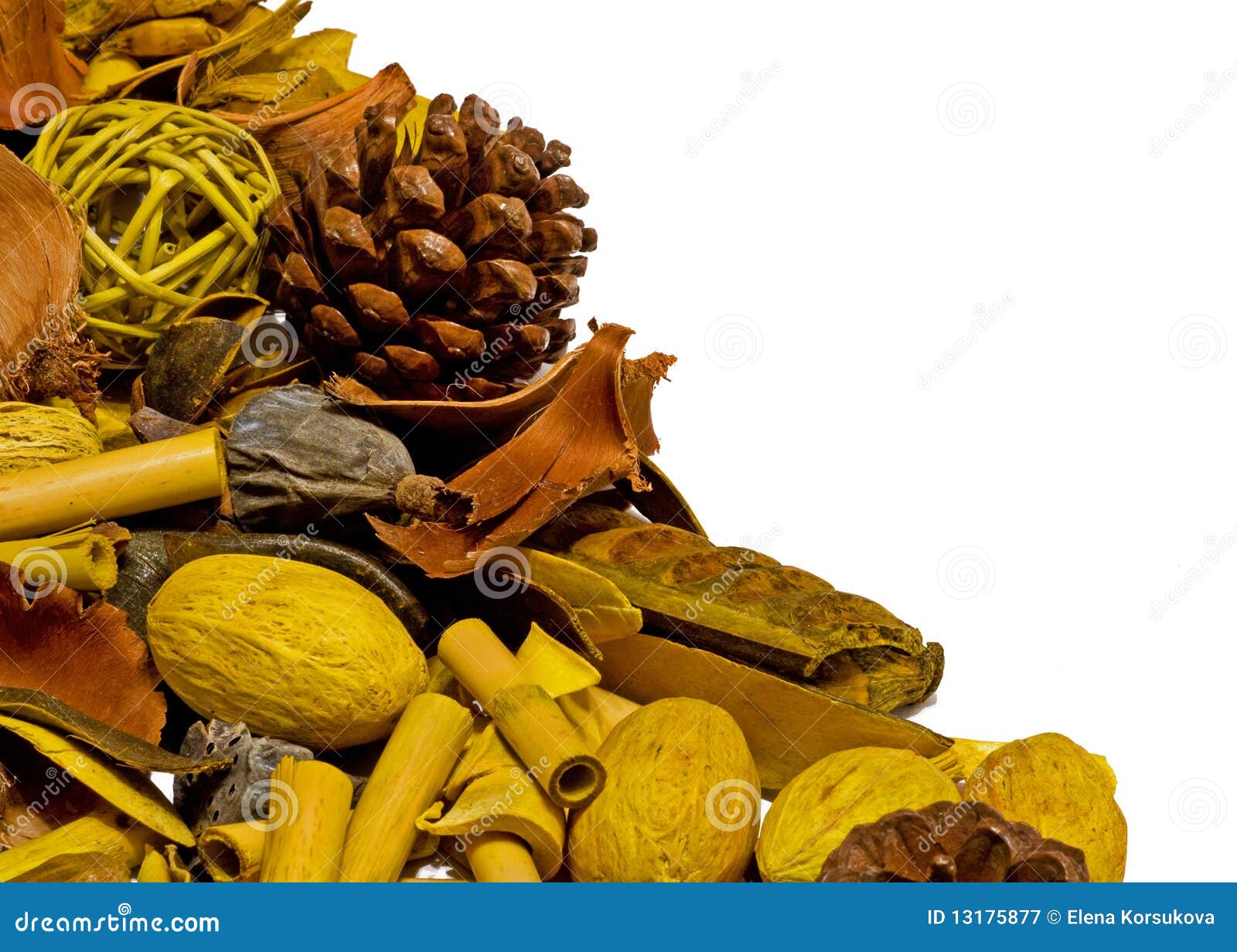 Dried plants stock image. Image of cards, nuts, greetings 13175877