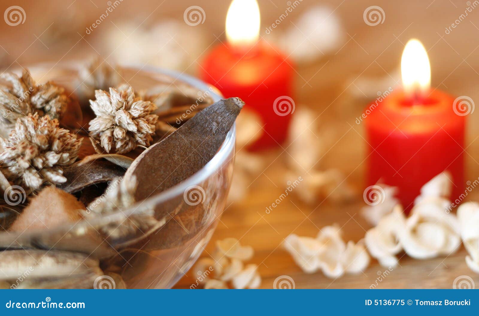 Dried plants and candles stock image. Image of purity 5136775
