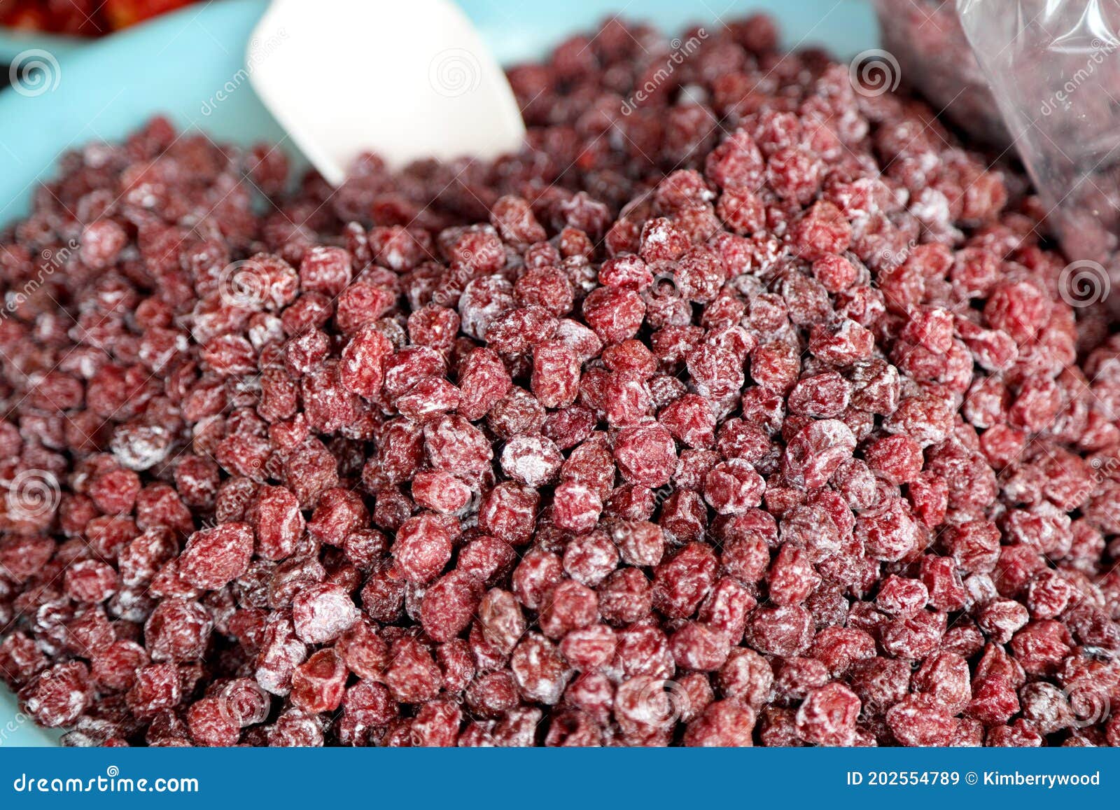 Dried Plum stock image. Image of healthy, gourmet, fruit 202554789