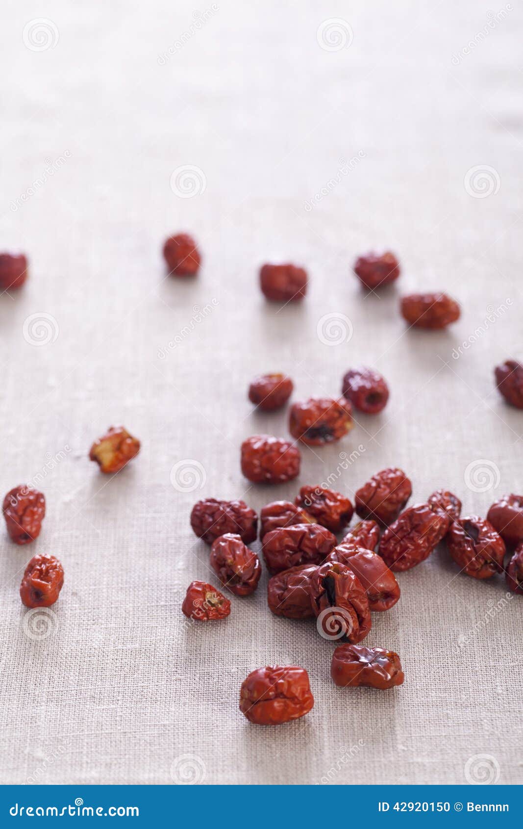 Dried plum stock photo. Image of botany, tasty, freshness 42920150