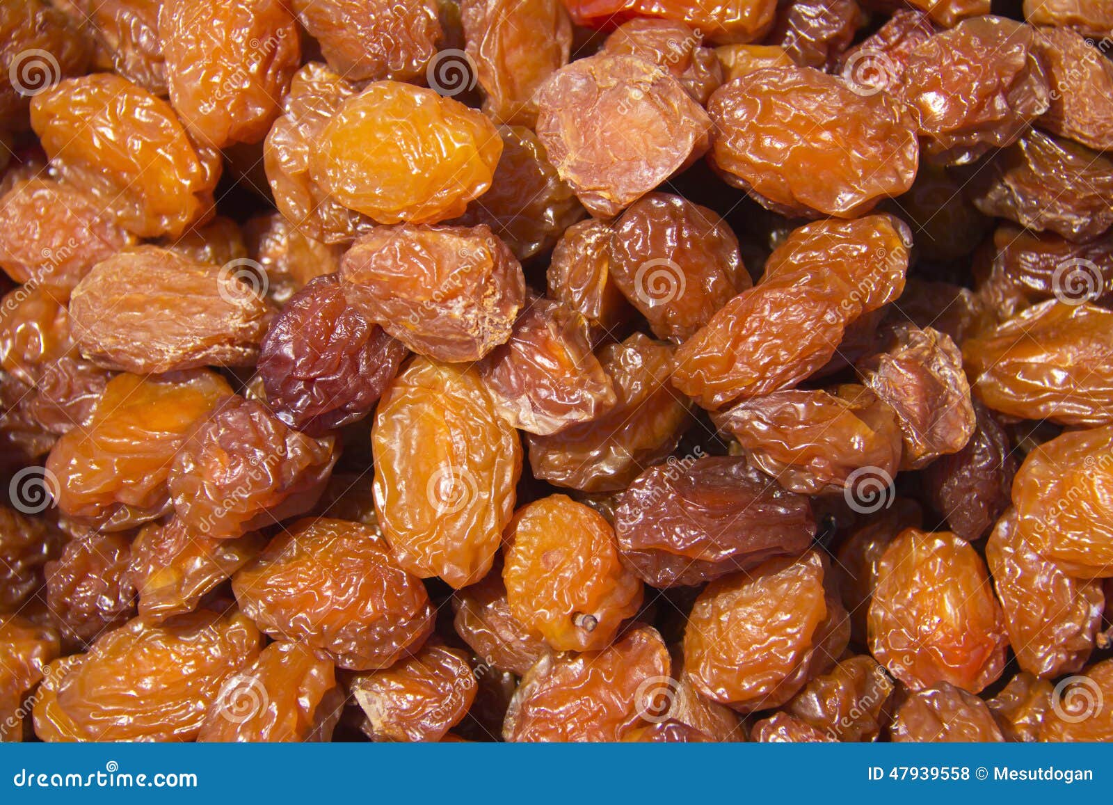 Dried plums stock photo. Image of multi, preserved, market 47939558