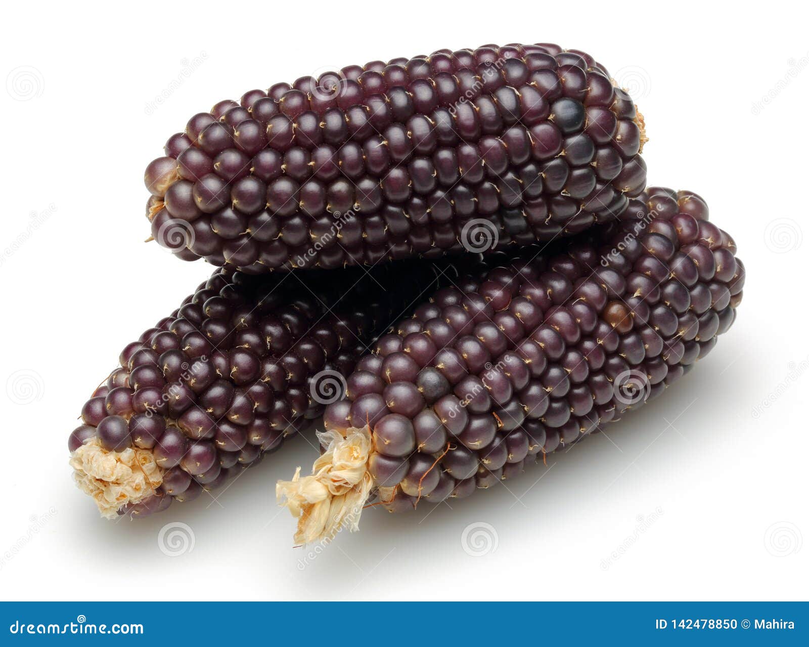 Dried Purple Corn Isolated on White Stock Photo Image of pile, purple