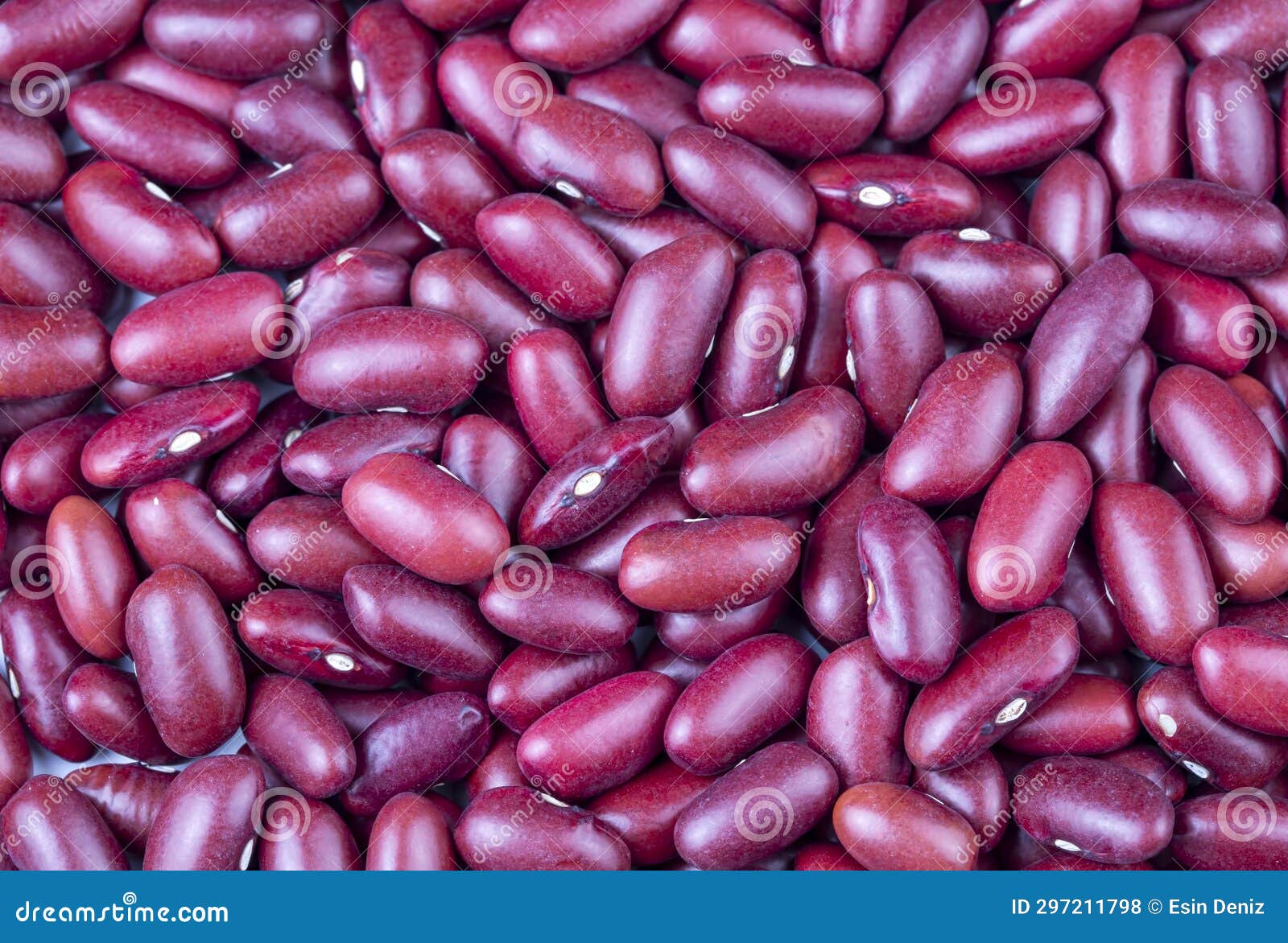 Dried Red Bean, Kidney Bean on the White Background. Stock Photo