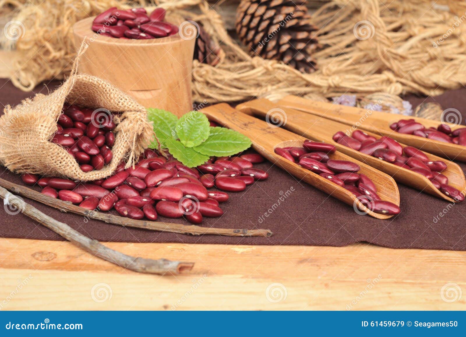 Dried Red Beans for Cooking. Stock Image Image of healthy, crop 61459679