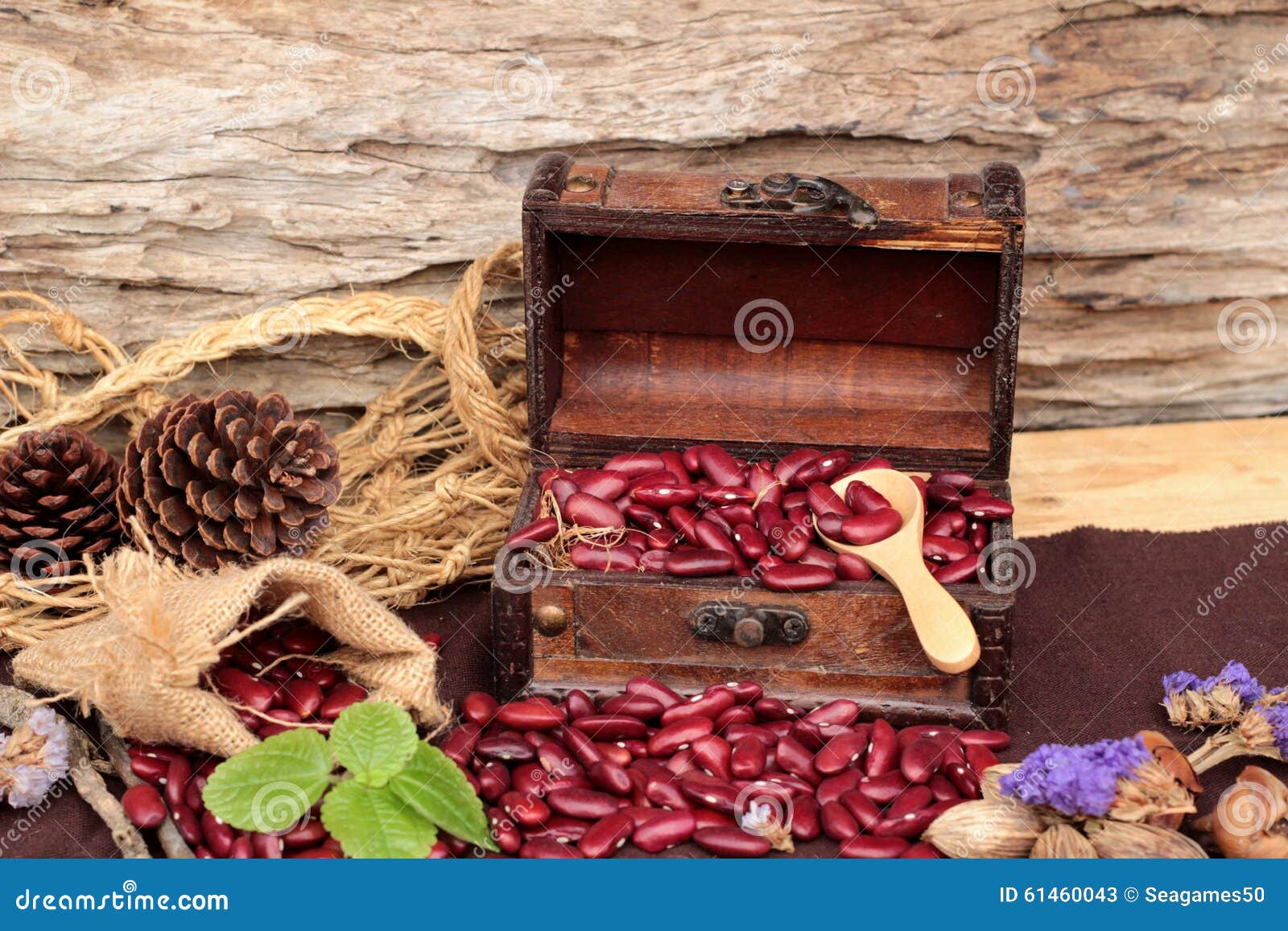 Dried Red Beans for Cooking. Stock Image Image of ingredient, black