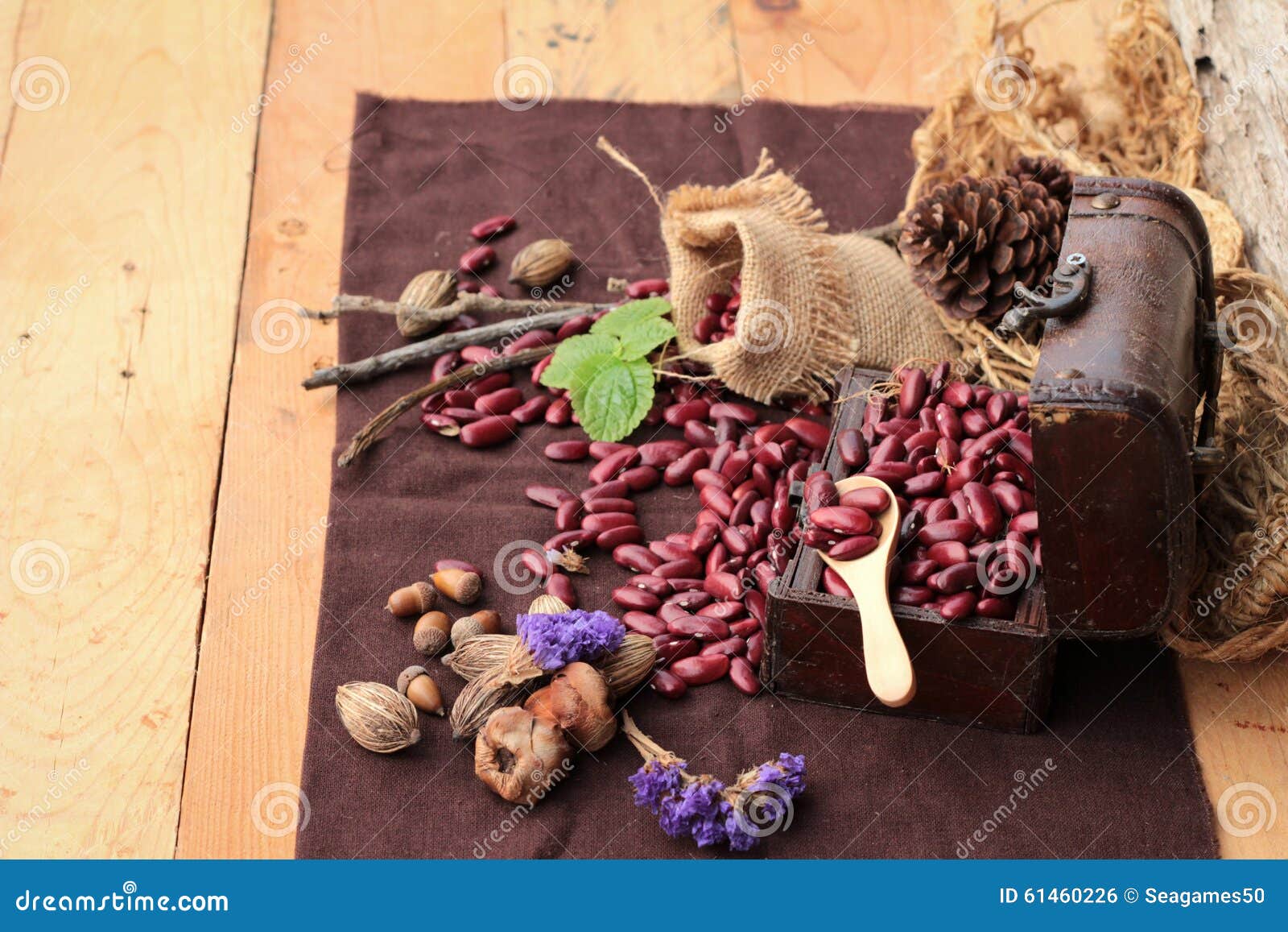 Dried Red Beans for Cooking. Stock Photo Image of bean, nature 61460226