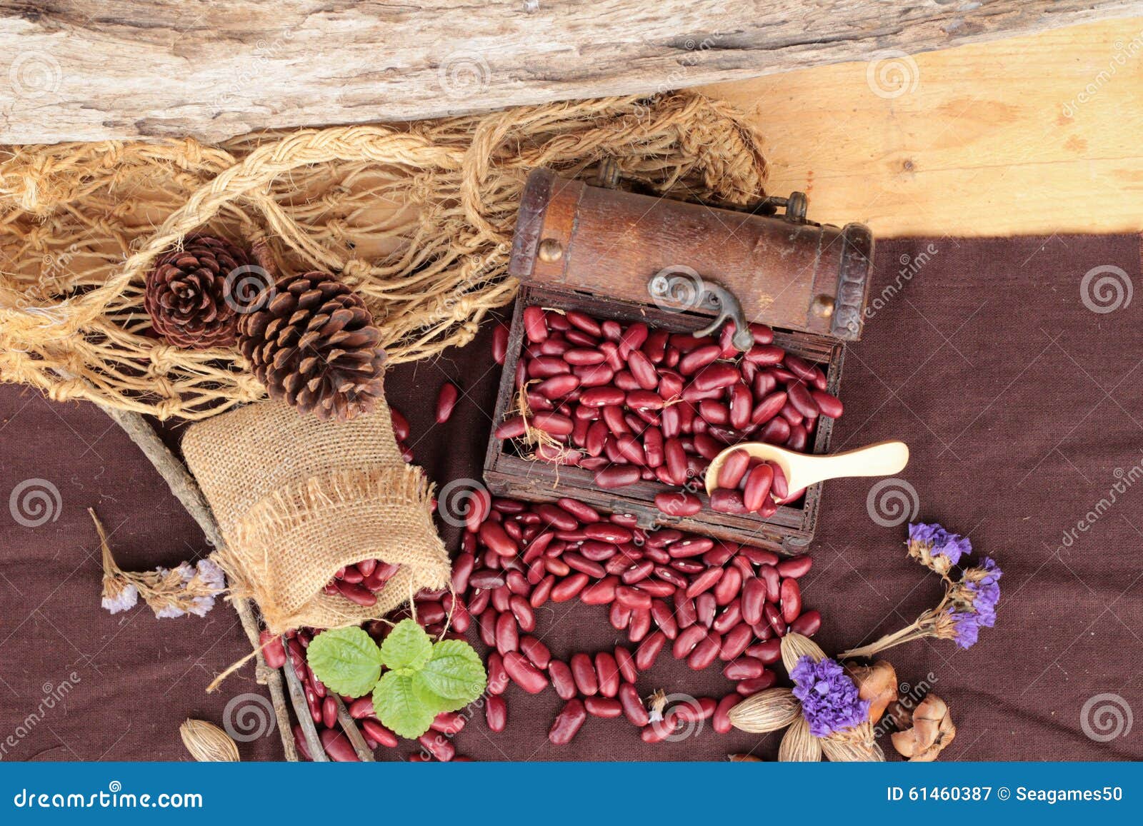 Dried Red Beans for Cooking. Stock Image Image of bean, legume 61460387
