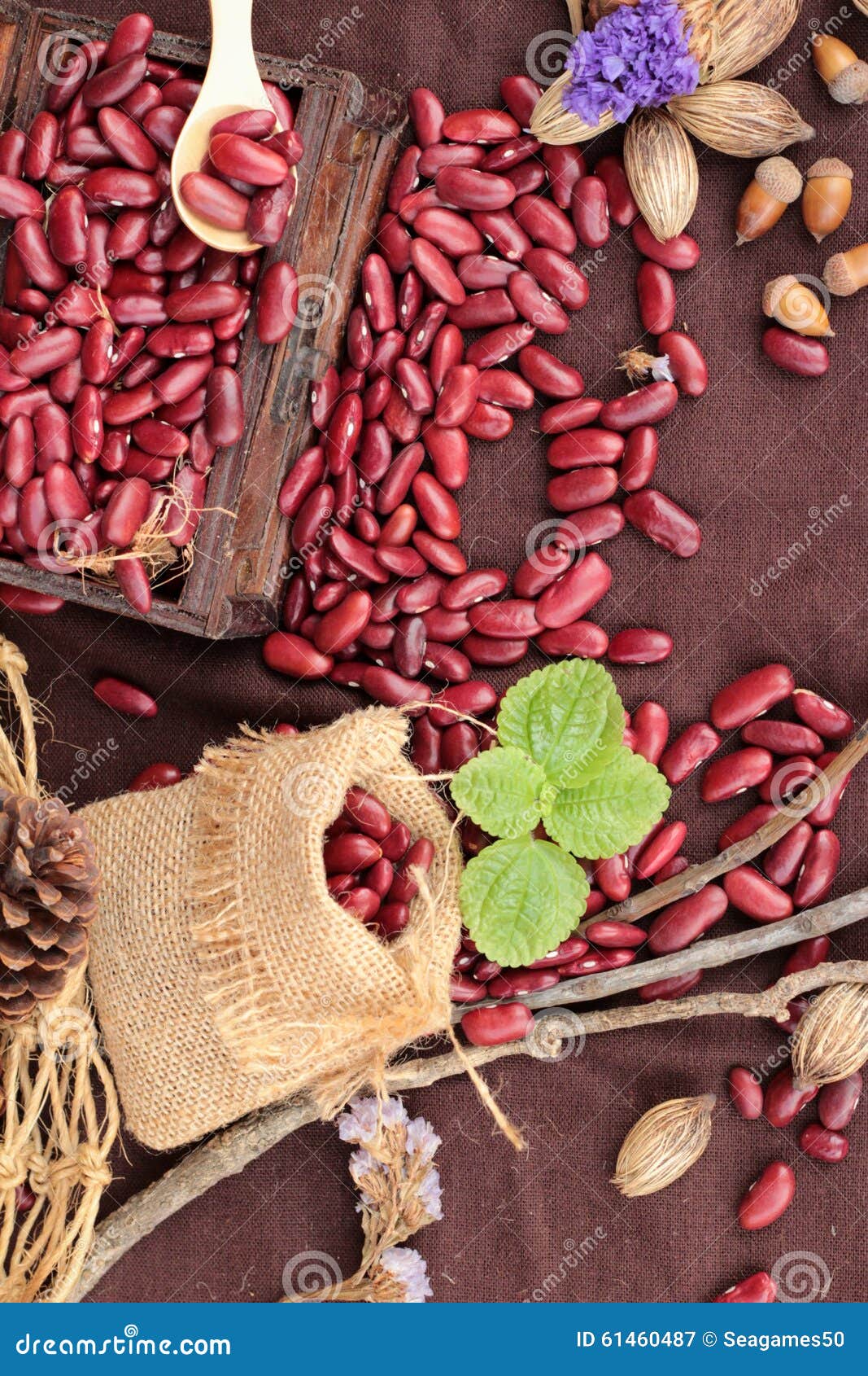 Dried Red Beans for Cooking. Stock Image Image of bean, wood 61460487