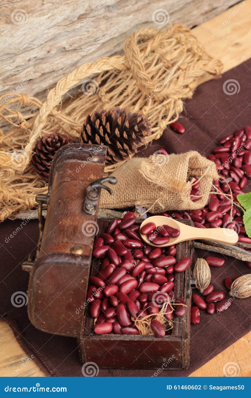 Dried Red Beans for Cooking. Stock Photo Image of brown, healthy