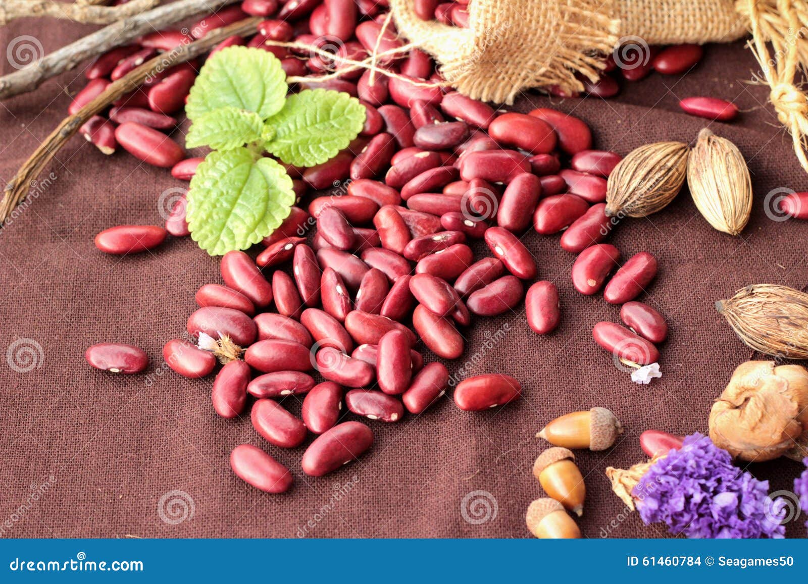 Dried Red Beans for Cooking. Stock Photo Image of cereal, seed 61460784