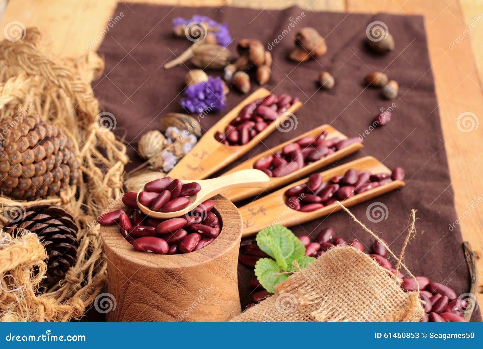 Dried Red Beans for Cooking. Stock Image Image of uncooked, dried