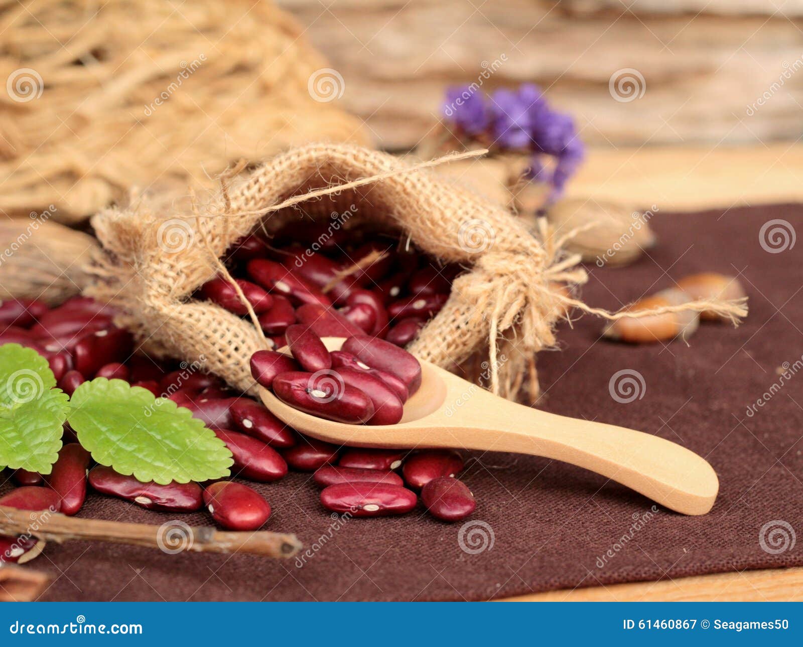 Dried Red Beans for Cooking. Stock Image Image of chickpea, organic