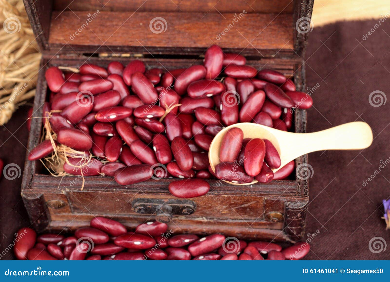 Dried Red Beans for Cooking. Stock Image Image of plant, texture