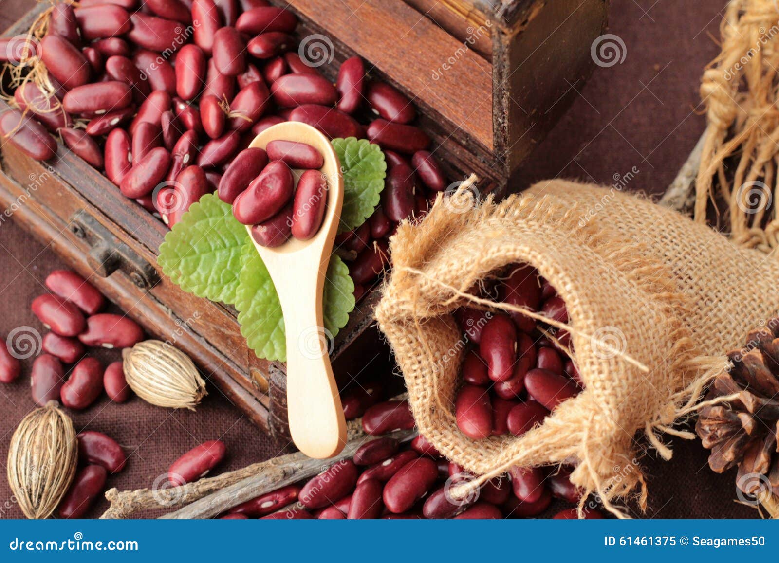Dried Red Beans for Cooking. Stock Image Image of vegetable, bean
