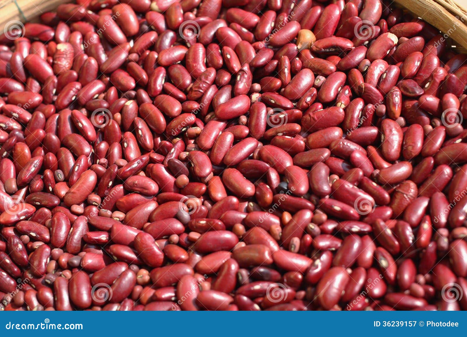 Dried red beans stock image. Image of fibre, market, natural 36239157