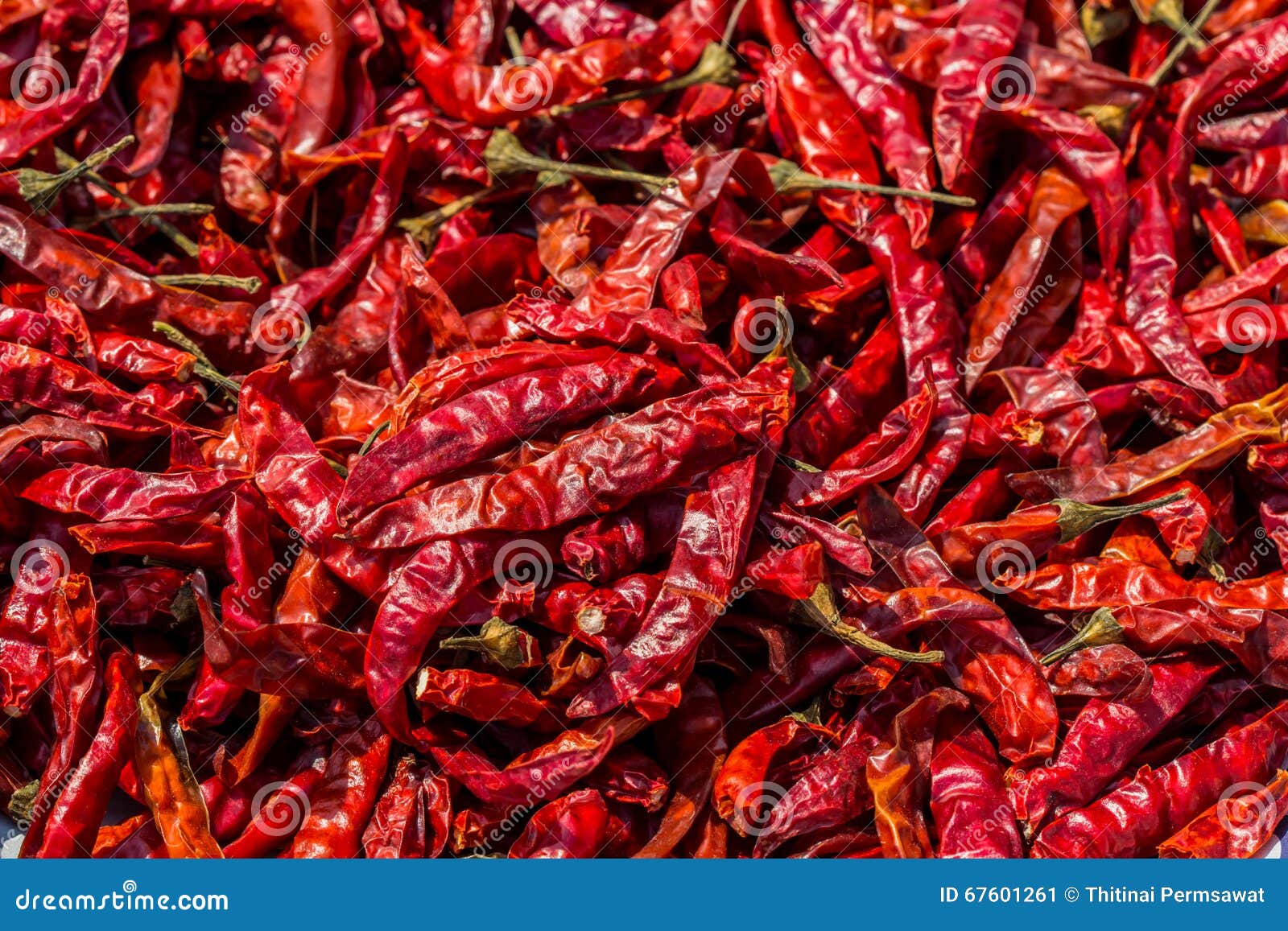 Dried red chilli stock image. Image of dried, chili, food 67601261