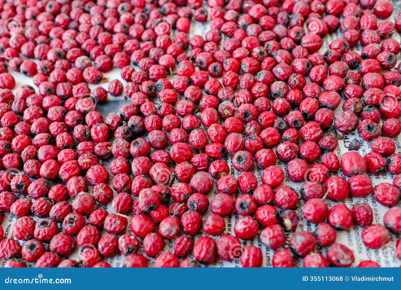 dried red hawthorn berries spread out on paper. close-up view of natural dried fruits