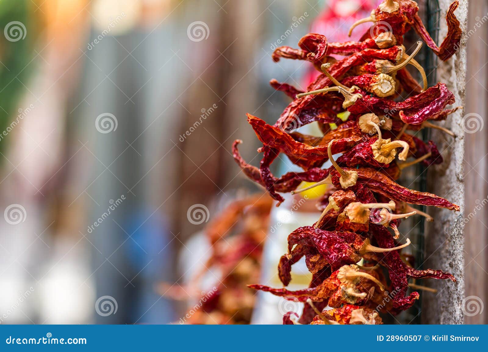 Dried Red Hot Chili Peppers Hanging from the Wall Stock Image Image