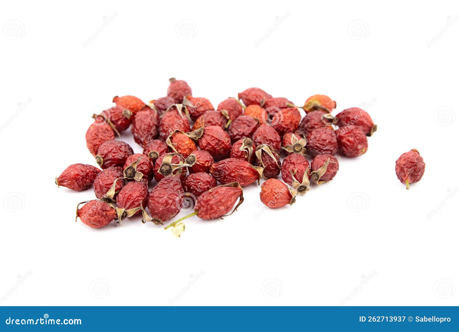 Dried Rose Hip Berries Isolated on White Stock Image Image of