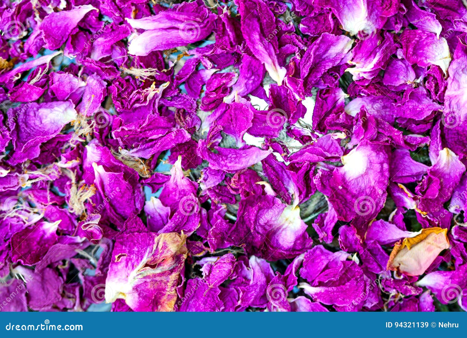 Dried rose petalls stock image. Image of background, white 94321139