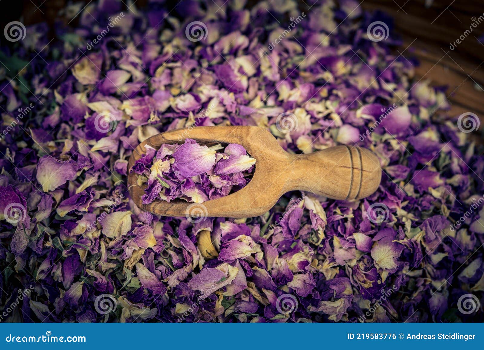 Dried rose petals stock photo. Image of medicine, herb 219583776