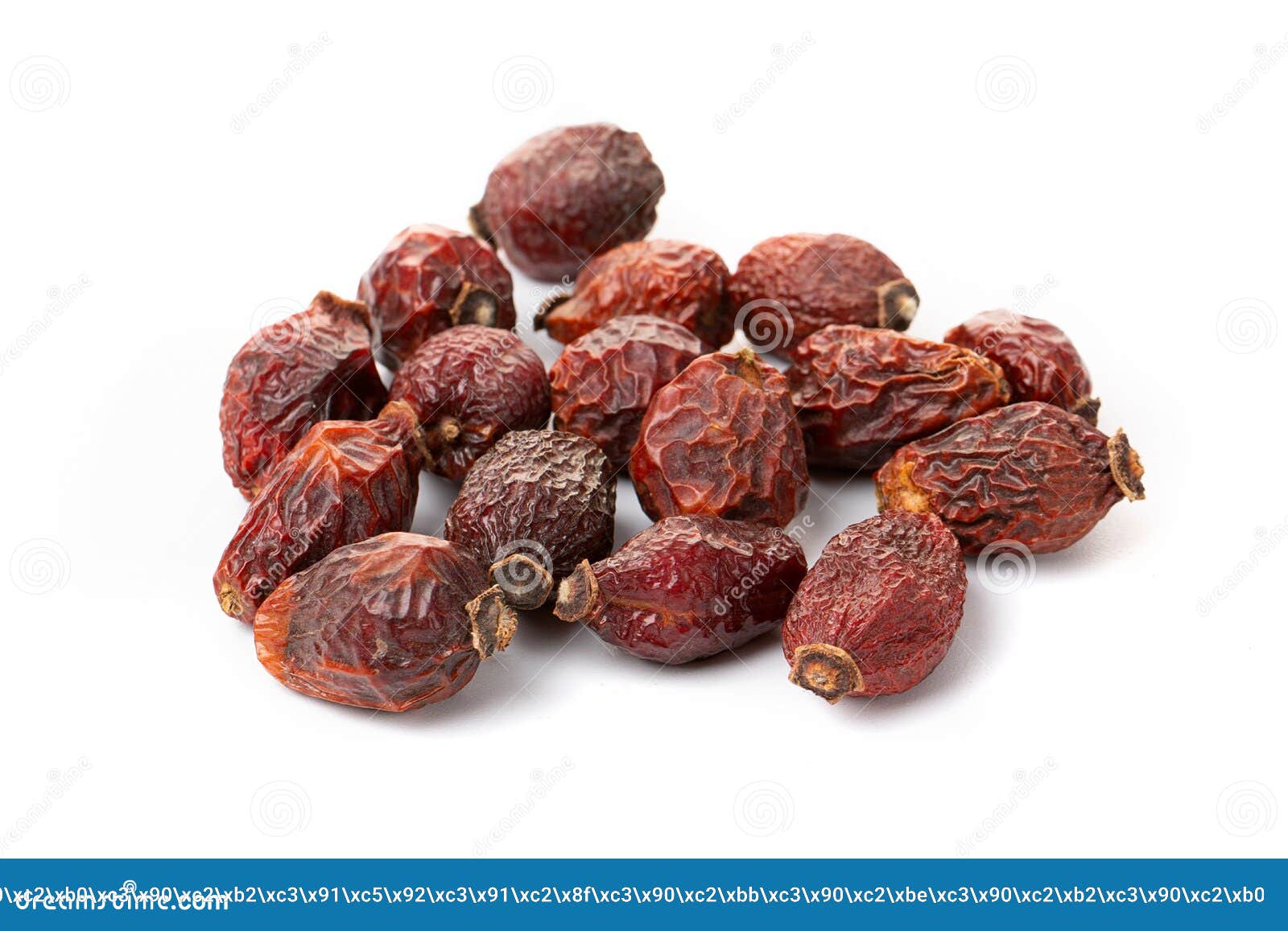Dried Rosehip Berries, Isolated on a White Background Stock Image