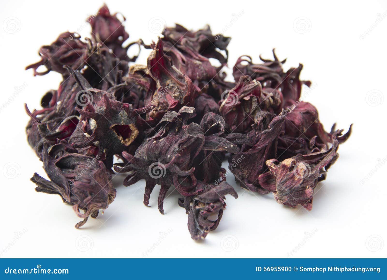 Dried roselle stock photo. Image of healthy, nature, isolated 66955900