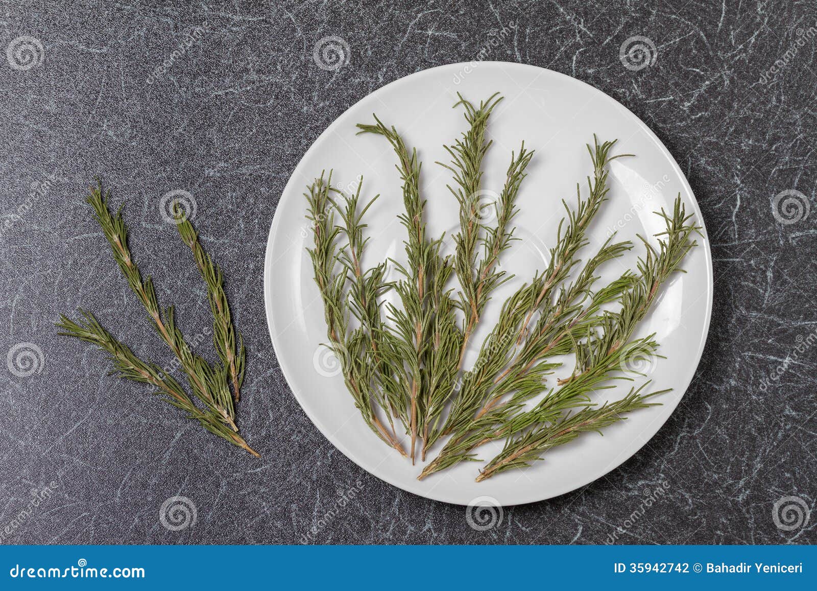Dried Rosemary stock photo. Image of background, heap 35942742