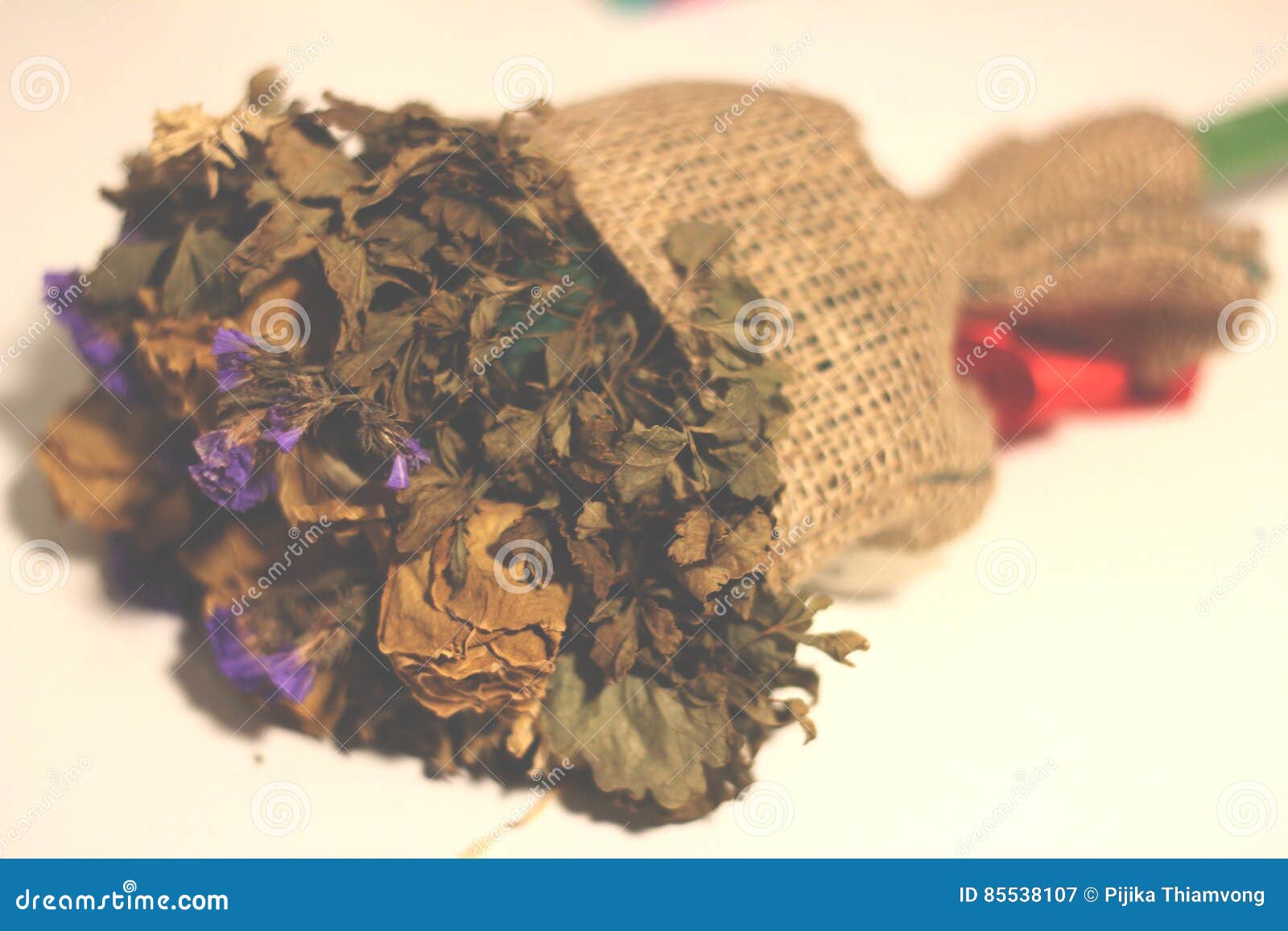 Dried roses bouquet. stock image. Image of horror, flora 85538107