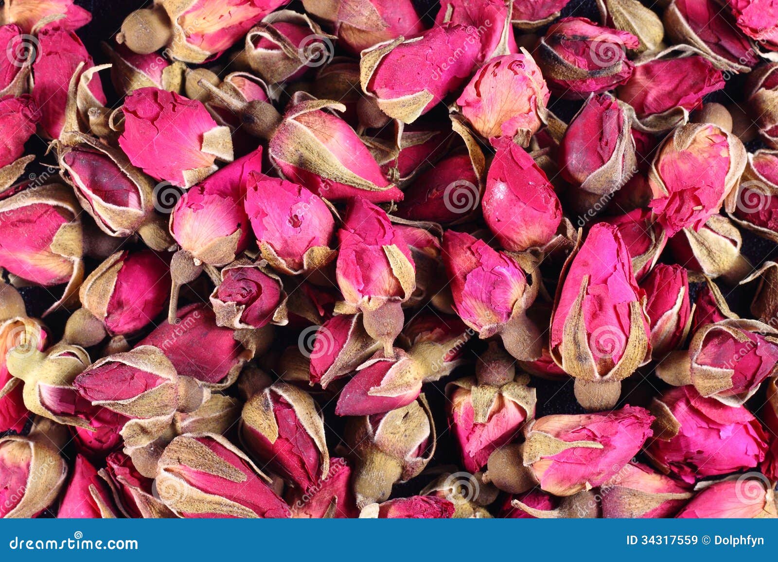 Dried roses stock image. Image of flora, medicine, rose 34317559