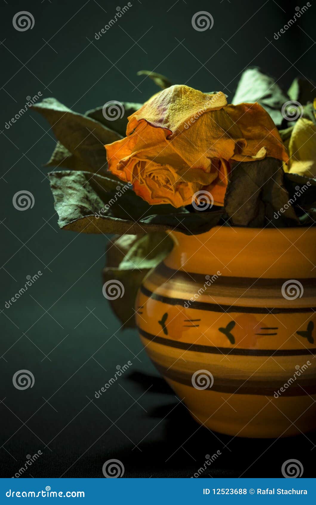 Dried roses in a vase stock photo. Image of rose, nature 12523688