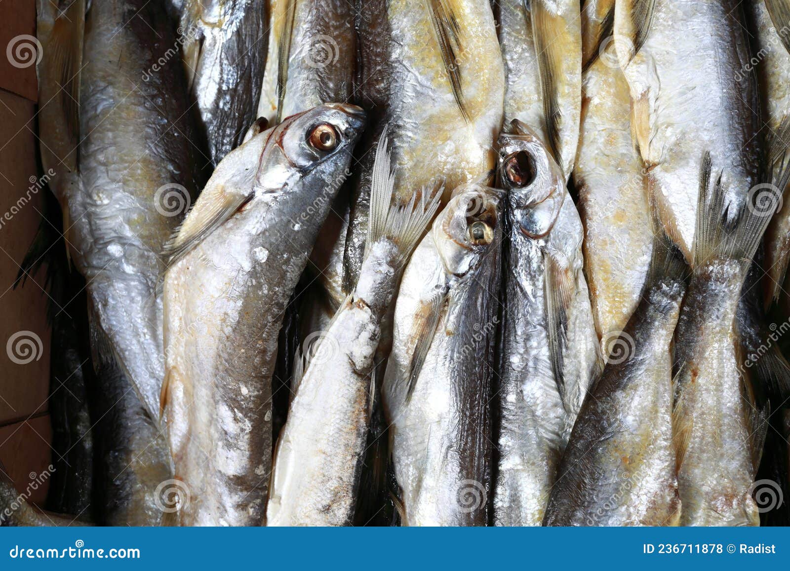 Stockfish. Sabrefish on the Table. Stock Photo - Image of