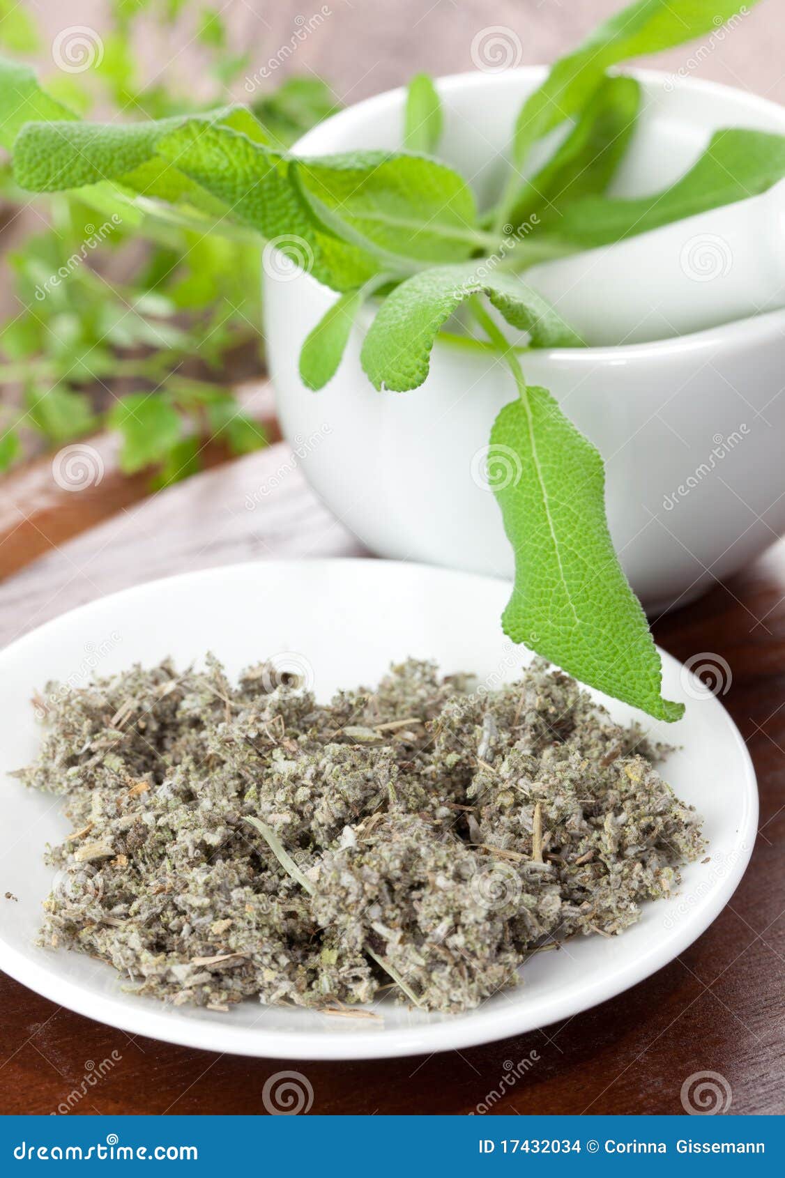 Dried sage stock photo. Image of herb, food, sage, plant 17432034
