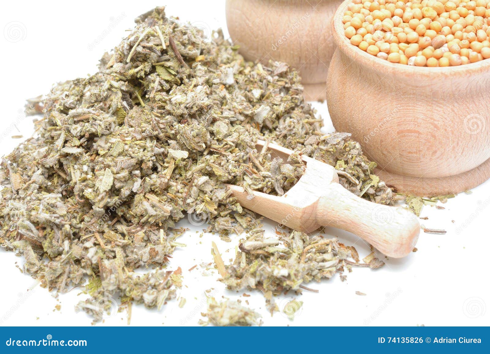 Dried Sage stock photo. Image of leaf, european, powdered 74135826