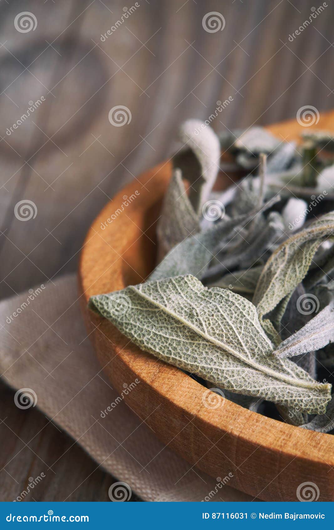 Dried sage leaves stock image. Image of culinary, medicine 87116031