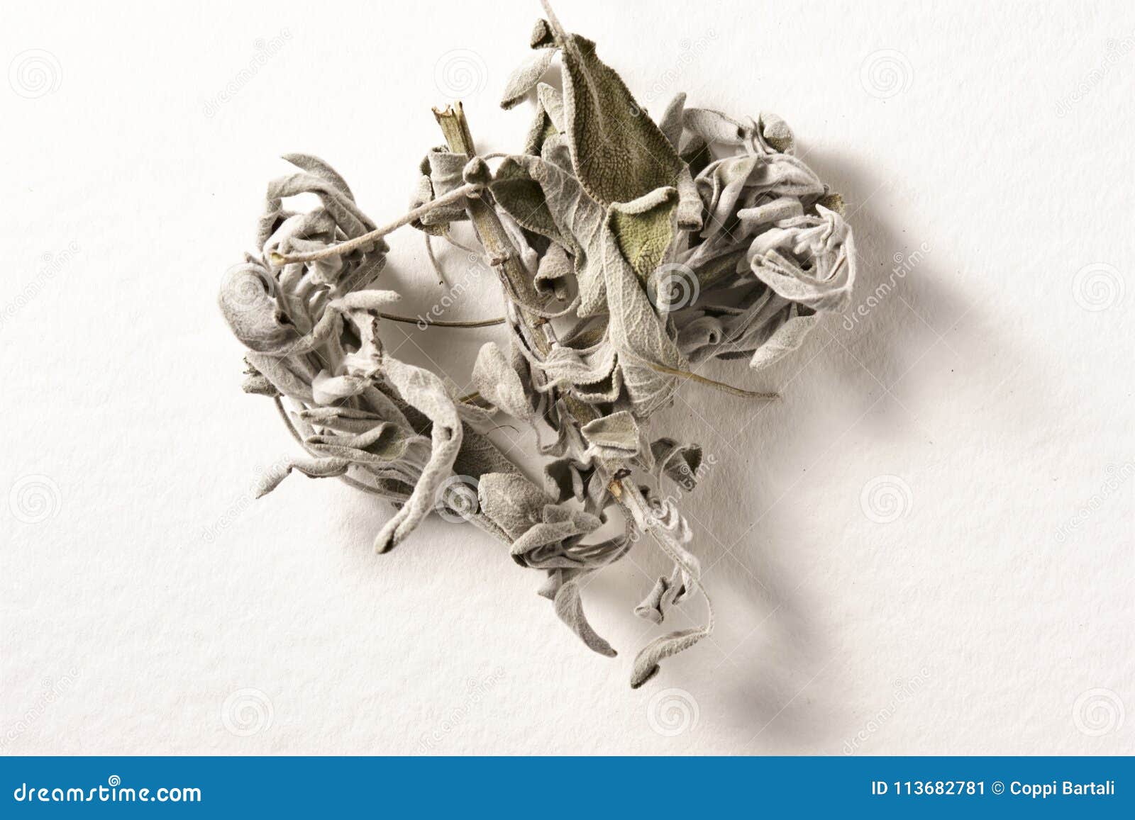 Dried sage leaves stock image. Image of ingredient, leaves 113682781