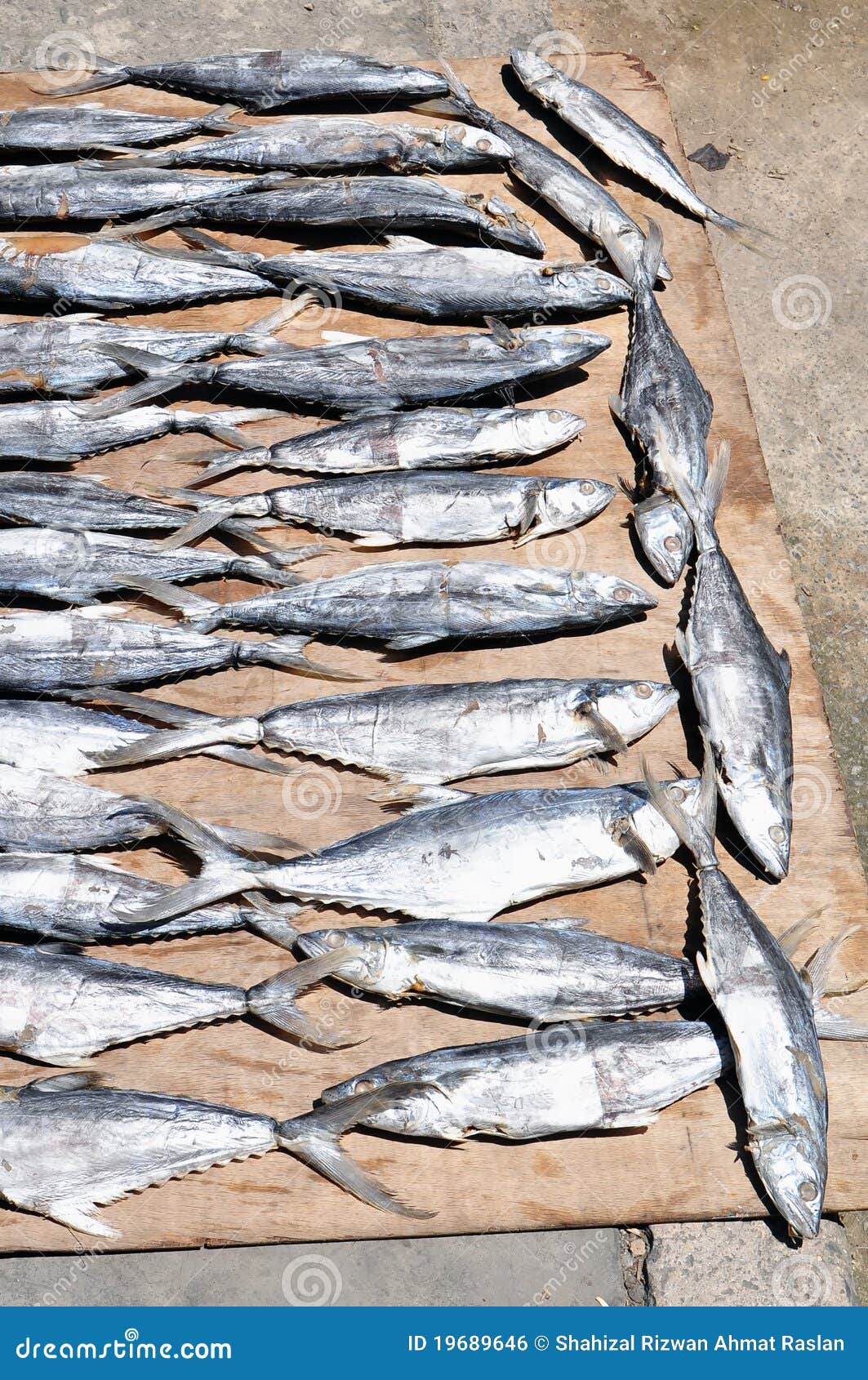 Dried Salted Fish stock photo. Image of gill, ingredient 19689646