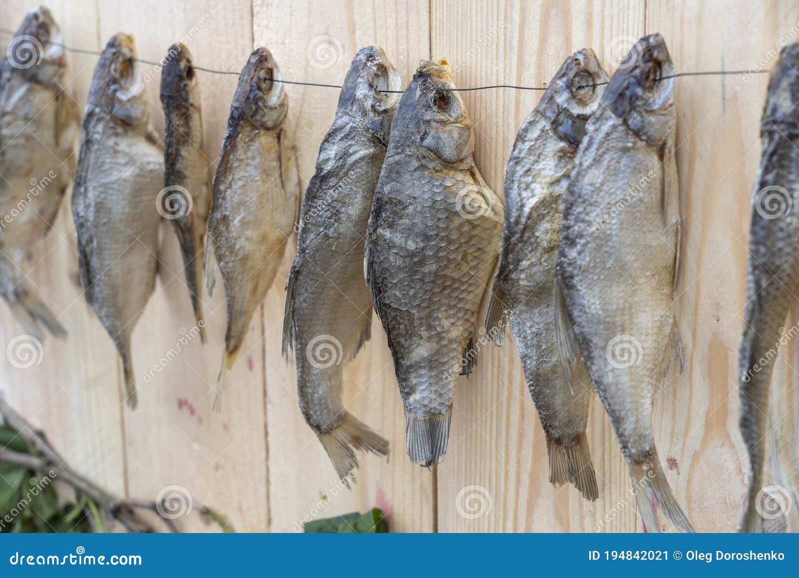 Fish Hanging On Line Closeup Fish Stock Photos - 2,420 Images