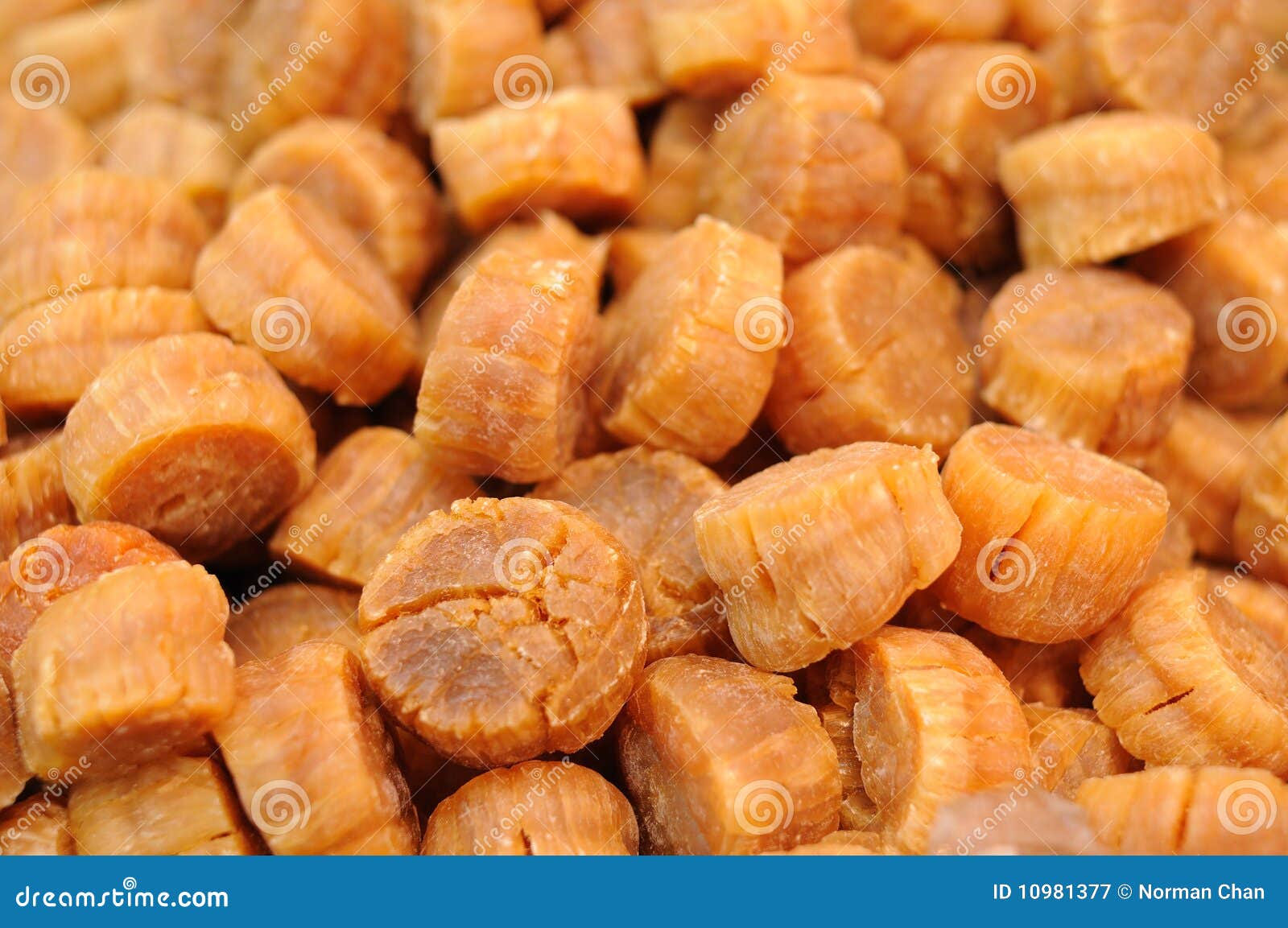 Dried scallop stock image. Image of closeup, background 10981377