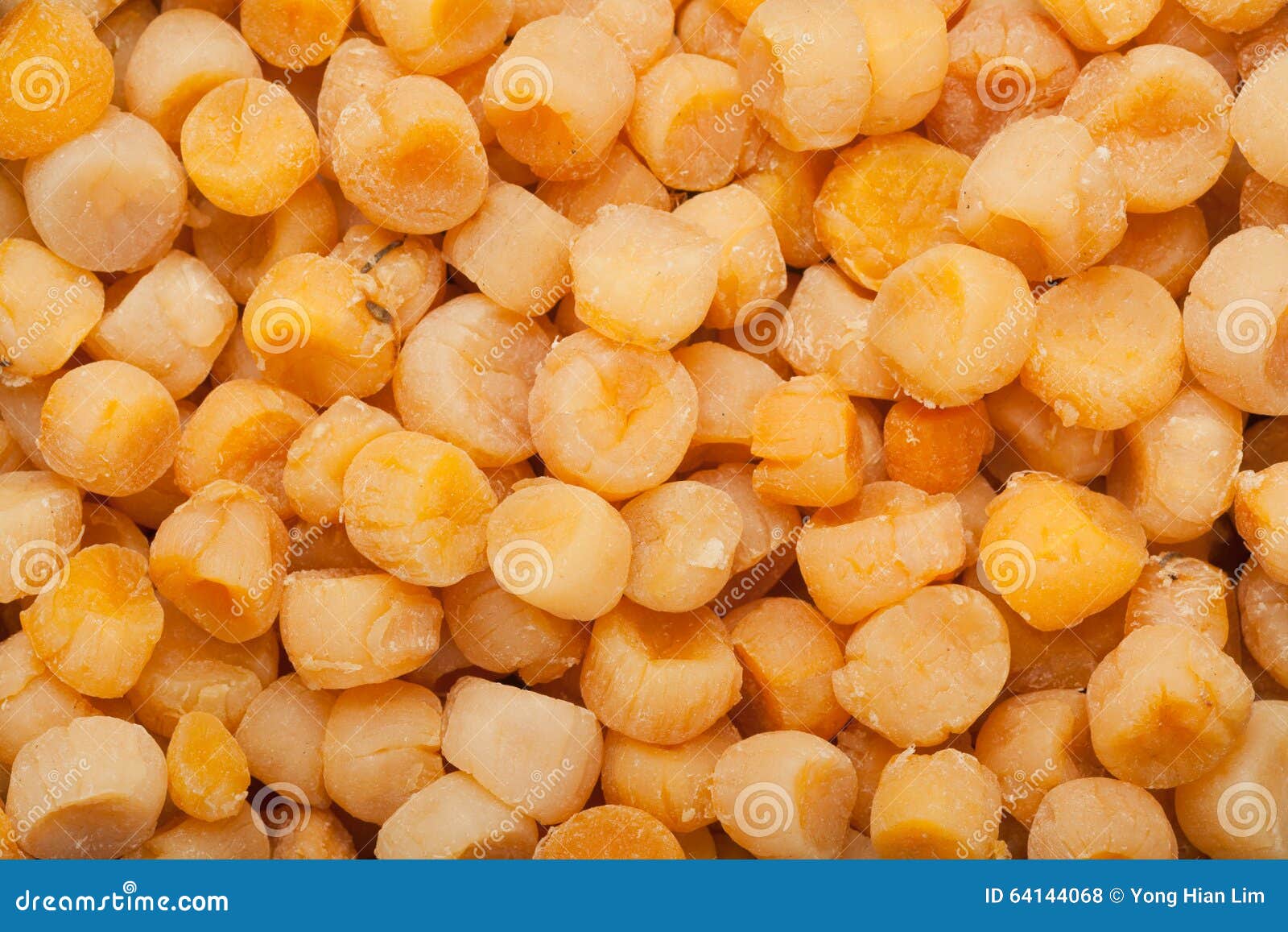 Dried scallops stock photo. Image of preserved, food 64144068