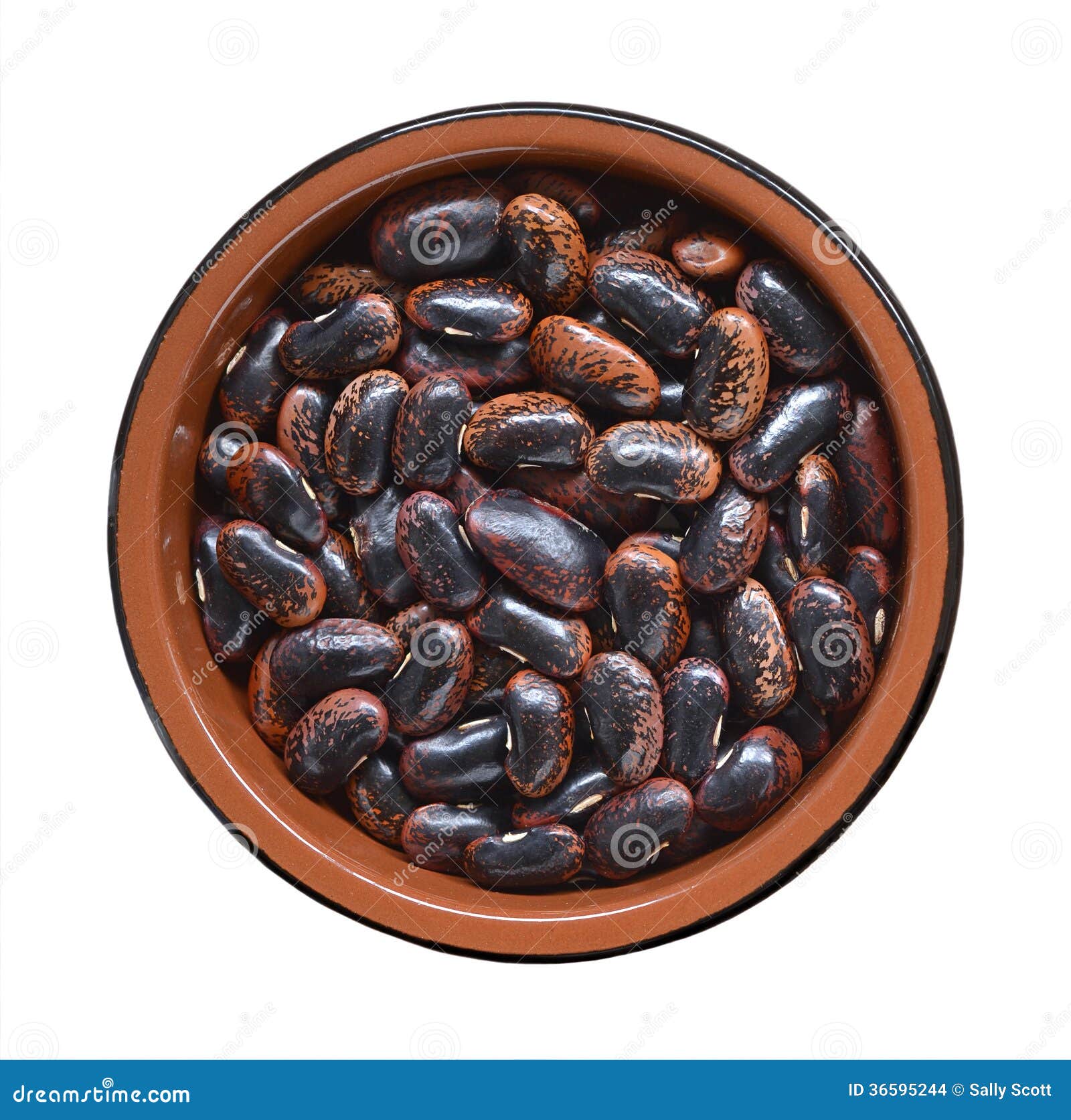 Dried Scarlet Runner Beans stock photo. Image of copy 36595244
