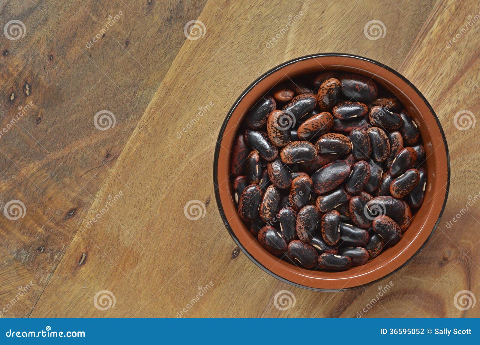 Dried Scarlet Runner Beans stock photo. Image of overhead 36595052